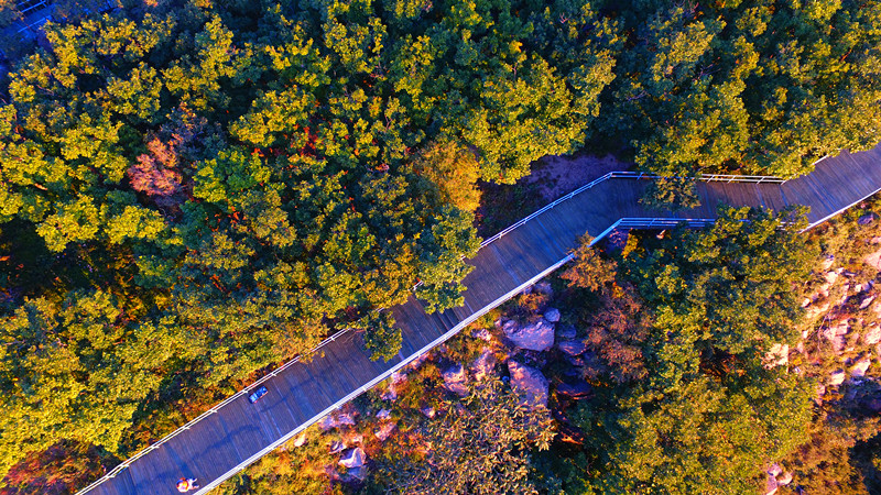 ����ȵ�ɽ����