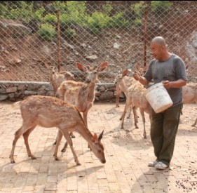 Ԫ��ˮ����¹��ֳ����